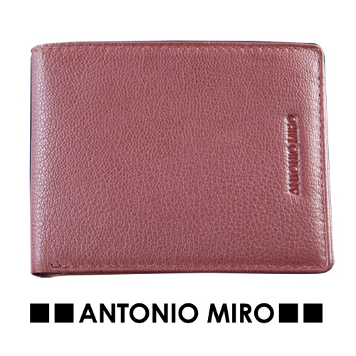 CARTERA FAGUS -ANTONIO MIRO-